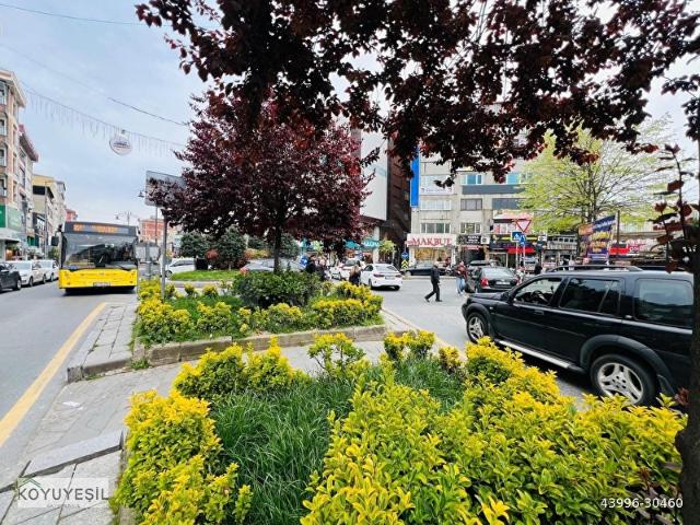 Kağithane, İstanbul içerisinde satılık mülk