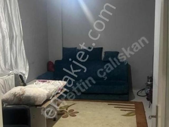 Anadolu Mahallesi, Arnavutköy içerisinde kiralık mülk