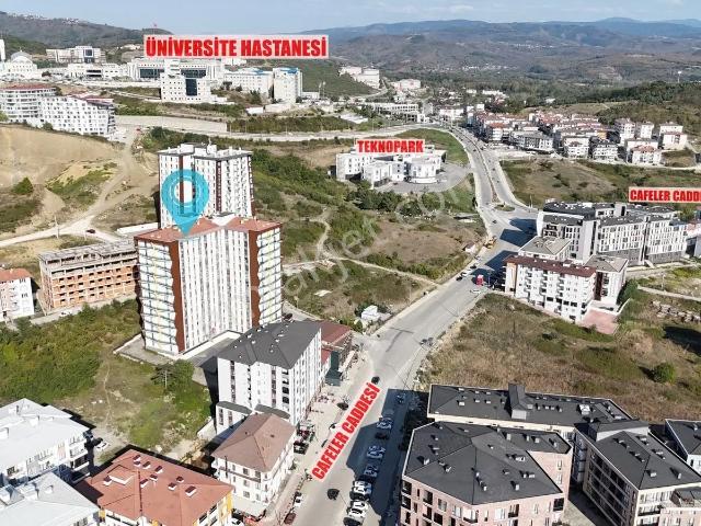 Düzce Merkez, Düzce içerisinde satılık mülk