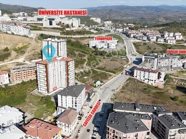 Düzce Merkez, Düzce içerisinde kiralık mülk
