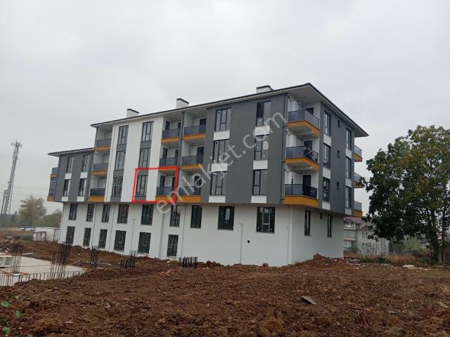 Düzce Merkez, Düzce içerisinde kiralık mülk