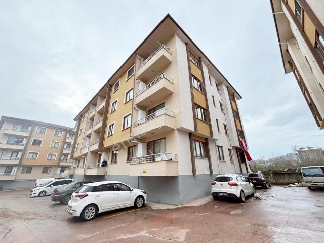 Düzce Merkez, Düzce içerisinde kiralık mülk