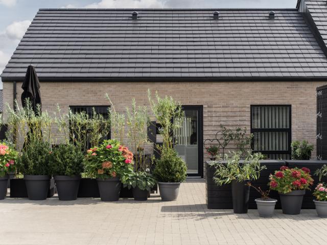 Lejlighed til leje i Kolding