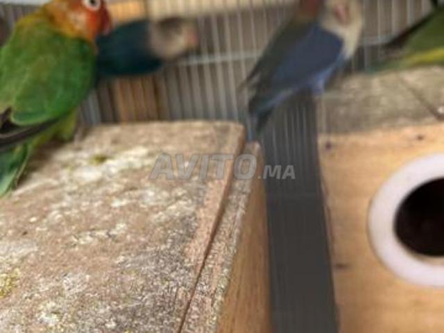 Appartement vente à Anfa, Gharb-Chrarda-Beni Hssen