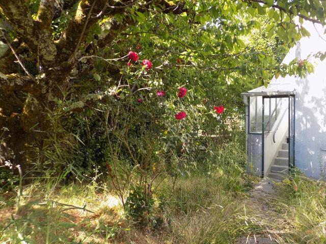 Maison vente à Romorantin-Lanthenay, Meusnes