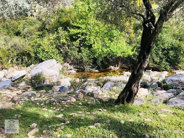 Milas, Muğla içerisinde satılık mülk