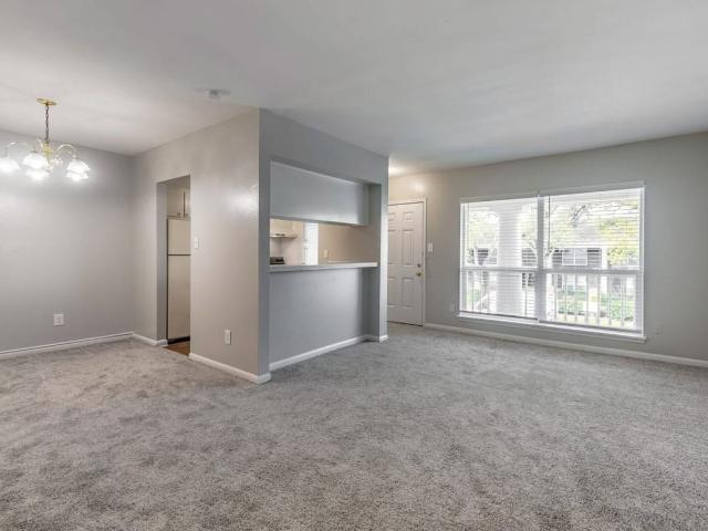 Apartment for rent in Braeswood, Houston