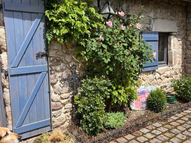 Maison vente à Ussel, Meymac