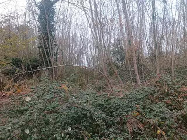 Terrain vente à Sarlat-la-Canéda, Meyrals