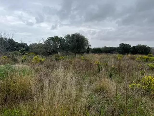 Terrain vente à Montpellier, Mèze