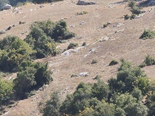 Doğançay, Mezitli içerisinde satılık mülk