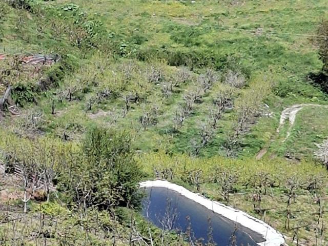 Mezitli, Mersin içerisinde satılık Arsa