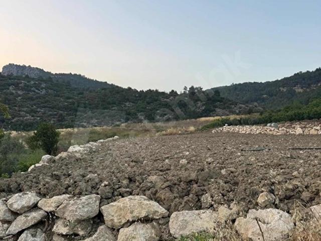 Mezitli, Mersin içerisinde satılık mülk