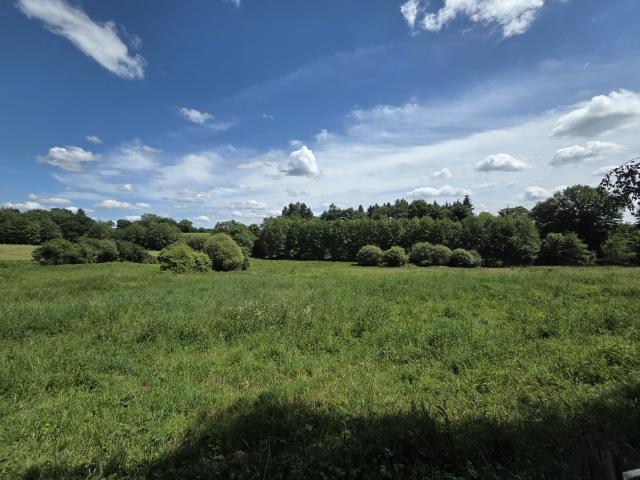 Château vente à Bellac, Mézières-sur-issoire