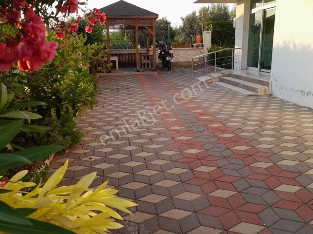 Mezitli, Mersin içerisinde kiralık mülk