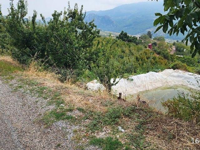 Sarılar, Mezitli içerisinde satılık mülk