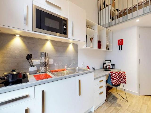 Studio for rent in Battle Field, Newcastle upon Tyne