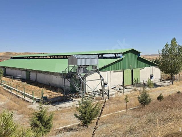 Kargalı Mahallesi, Polatlı içerisinde satılık Fabrika