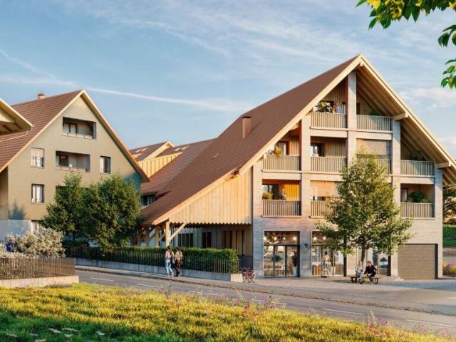 Immobilie kaufen in Uster, Zürich