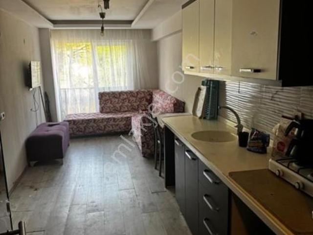 Aydin içerisinde kiralık mülk