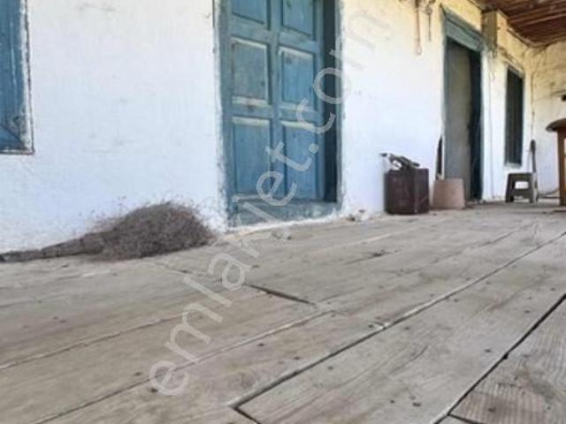 Tığıllar, Koçarlı içerisinde satılık mülk