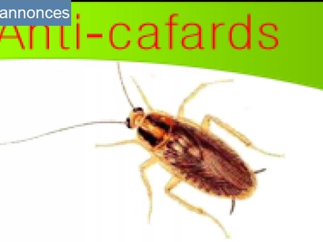 Propriété vente