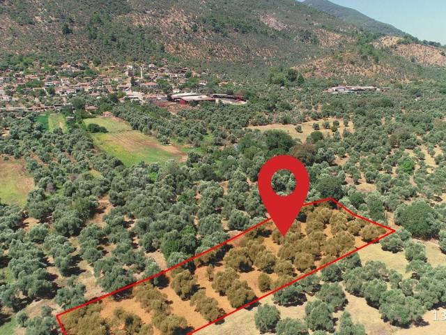 Çandır, Milas içerisinde satılık Arsa