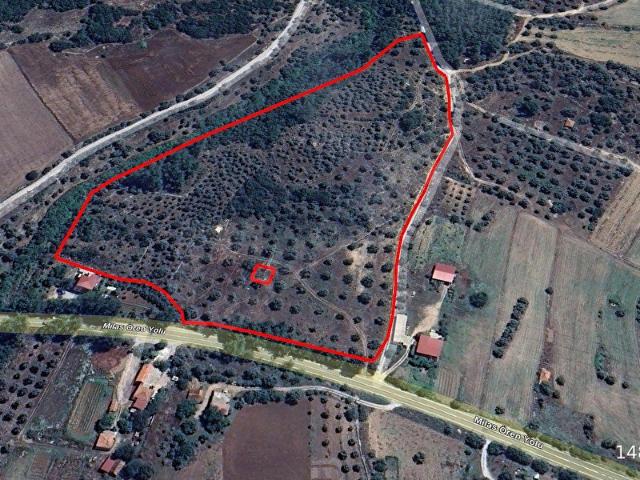 Aslanyaka, Milas içerisinde satılık Arsa