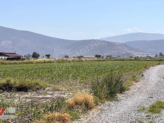 Avşar, Milas içerisinde satılık Arsa