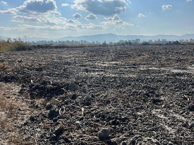 Milas, Muğla içerisinde satılık Arsa