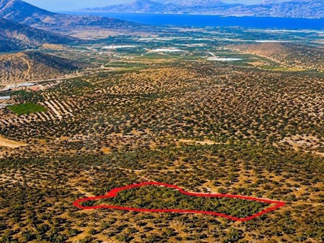 Milas, Muğla içerisinde satılık mülk