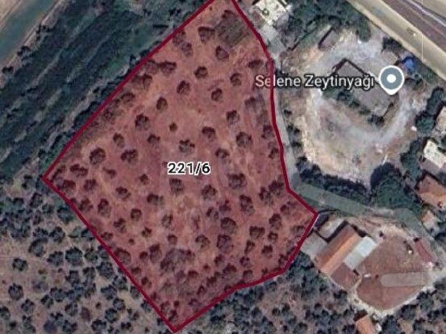 Milas, Muğla içerisinde satılık mülk