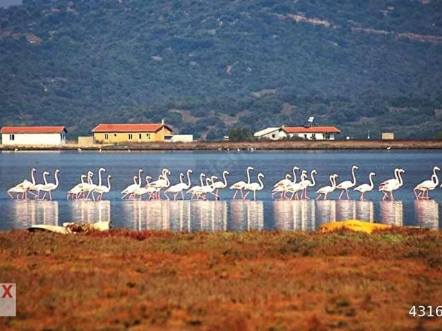 Milas, Muğla içerisinde satılık Arsa
