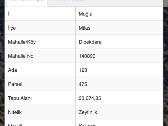 Milas, Muğla içerisinde satılık mülk