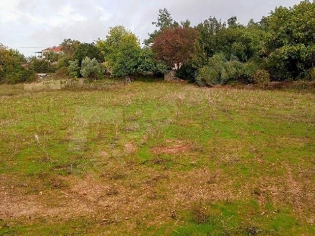 Milas, Muğla içerisinde satılık Arsa