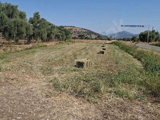Milas, Muğla içerisinde satılık Arsa