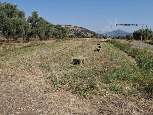 Ağaçlıhüyük, Milas içerisinde satılık Arsa