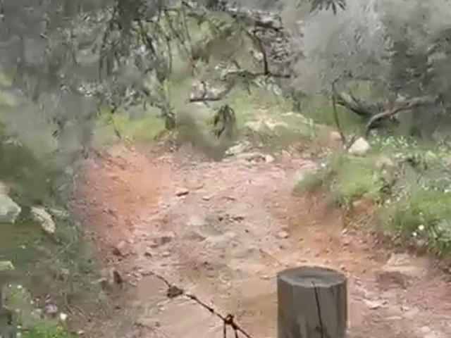 Milas, Muğla içerisinde satılık mülk