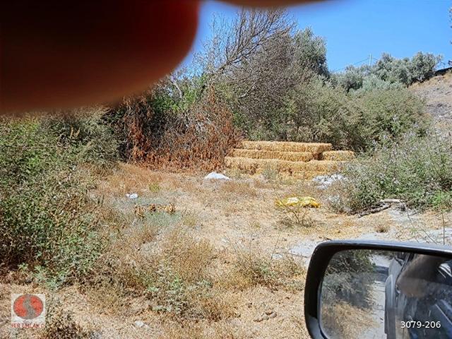 Milas, Muğla içerisinde satılık Arsa