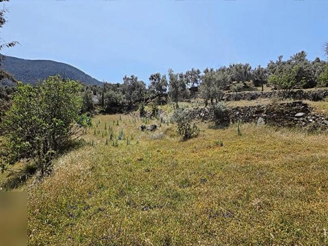 Milas, Muğla içerisinde satılık Arsa