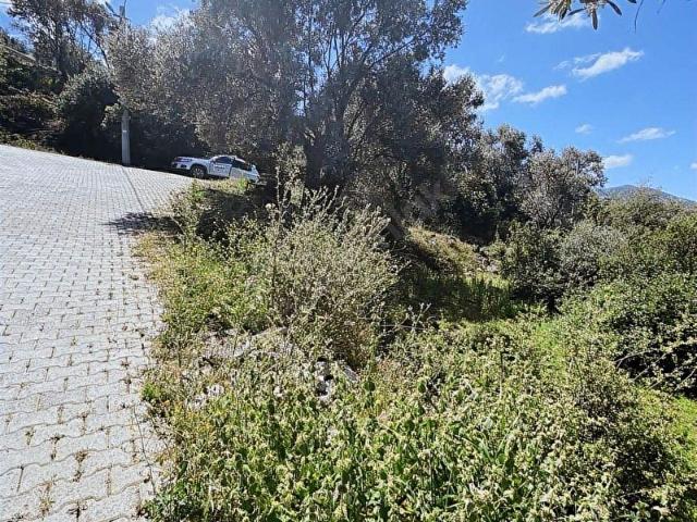 Milas, Muğla içerisinde satılık Arsa