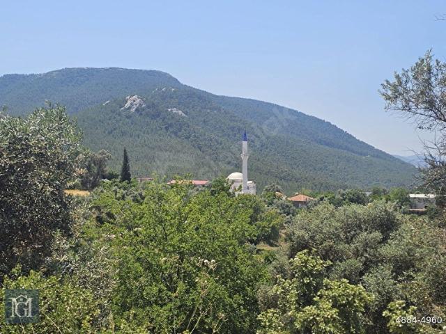 Milas, Muğla içerisinde satılık Arsa