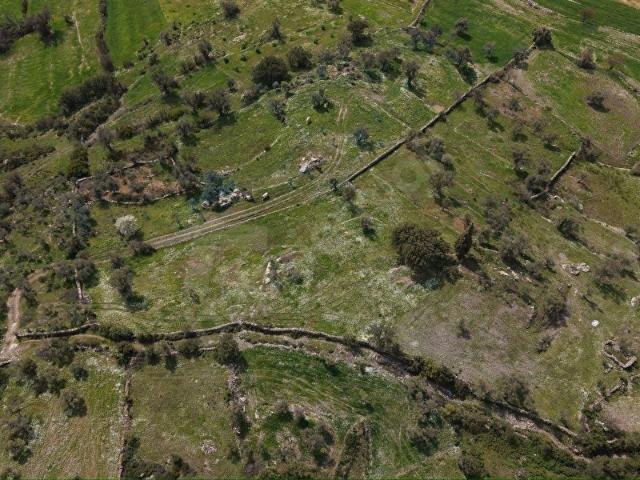 Milas, Muğla içerisinde satılık mülk