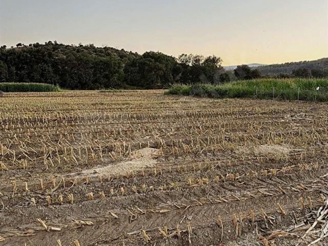 Milas, Muğla içerisinde satılık Arsa