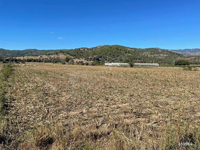 Milas, Muğla içerisinde satılık Arsa