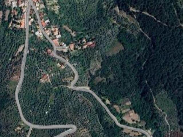 Milas, Muğla içerisinde satılık mülk
