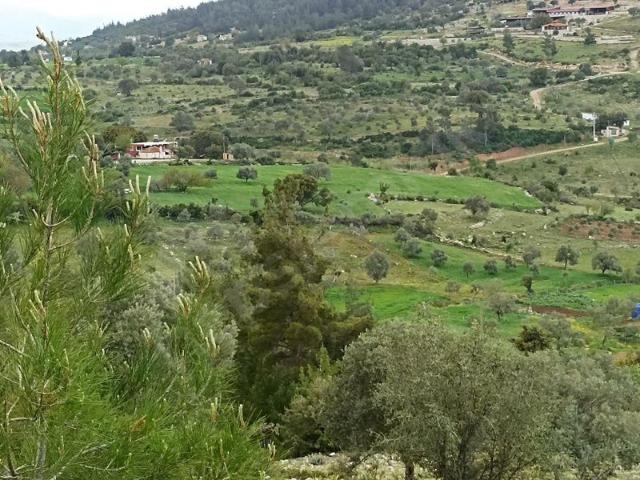 Çamköy, Milas içerisinde satılık Arsa
