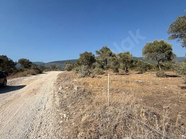 Milas, Muğla içerisinde satılık Arsa