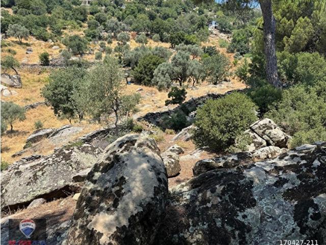 Milas, Muğla içerisinde satılık mülk