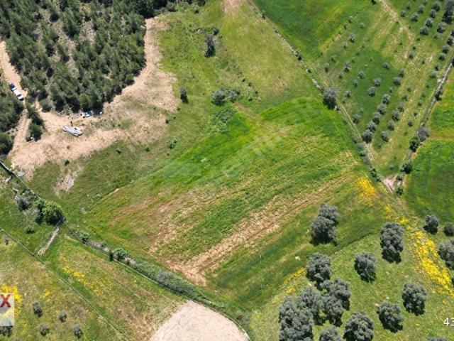 Milas, Muğla içerisinde satılık Arsa